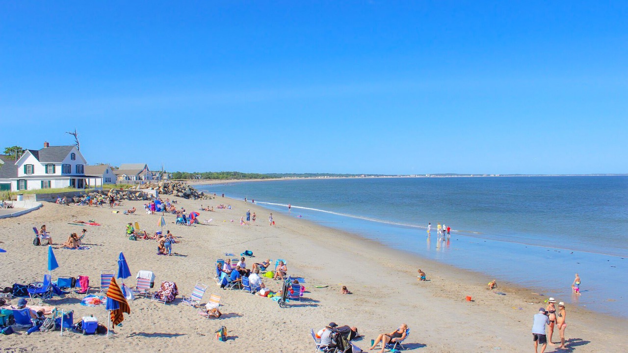 Photo of Others in Camp Ellis