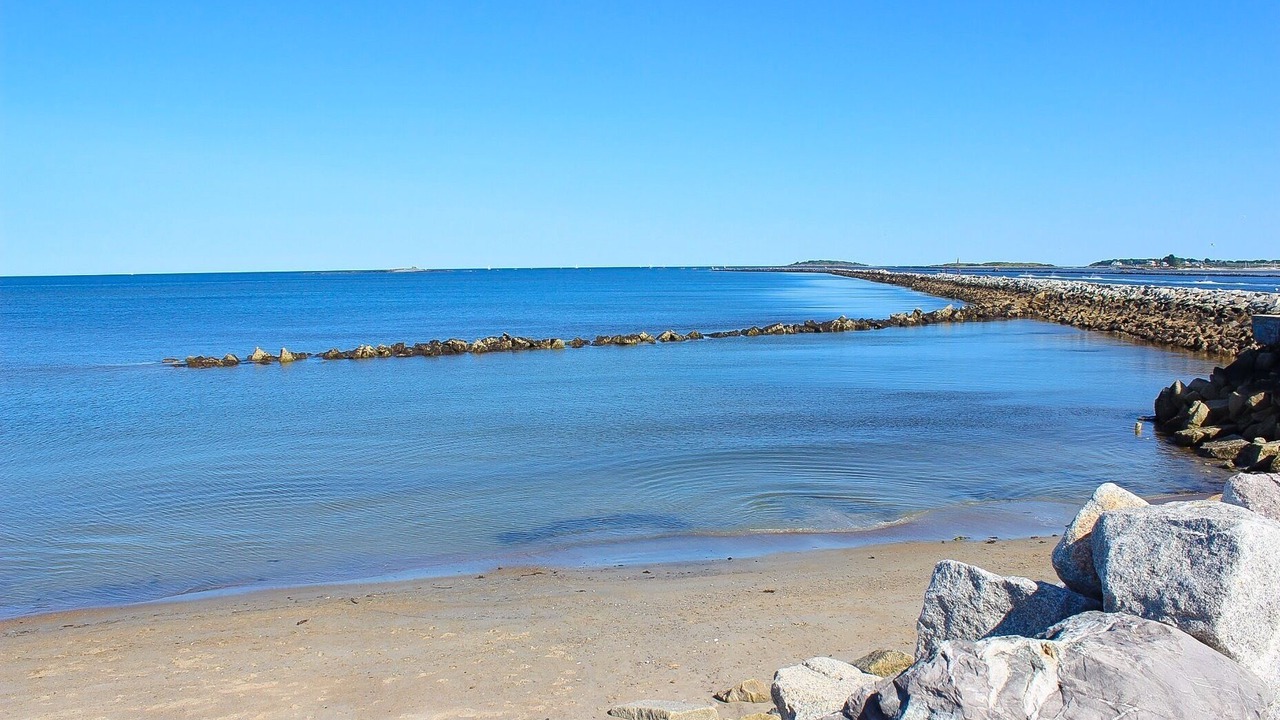 Photo of Others in Camp Ellis