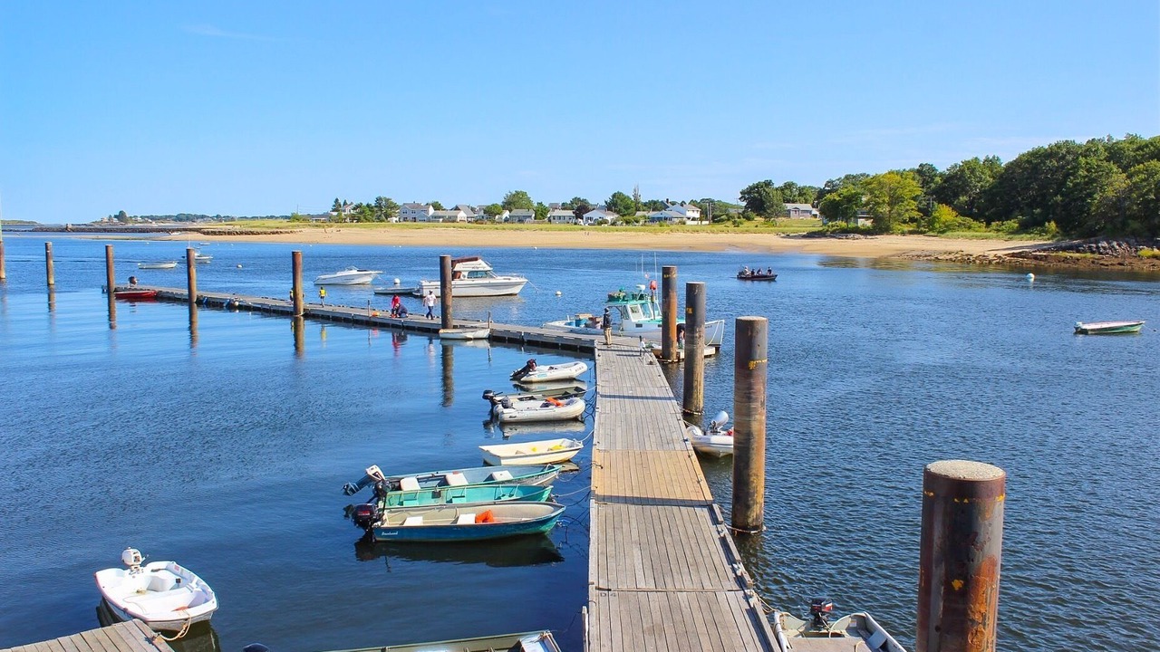 Photo of Others in Camp Ellis