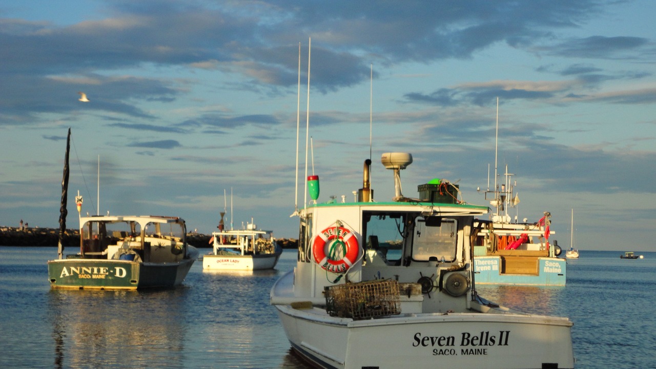 Photo of Others in Camp Ellis