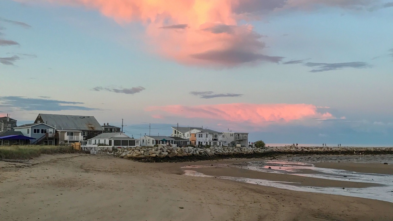 Photo of Others in Camp Ellis