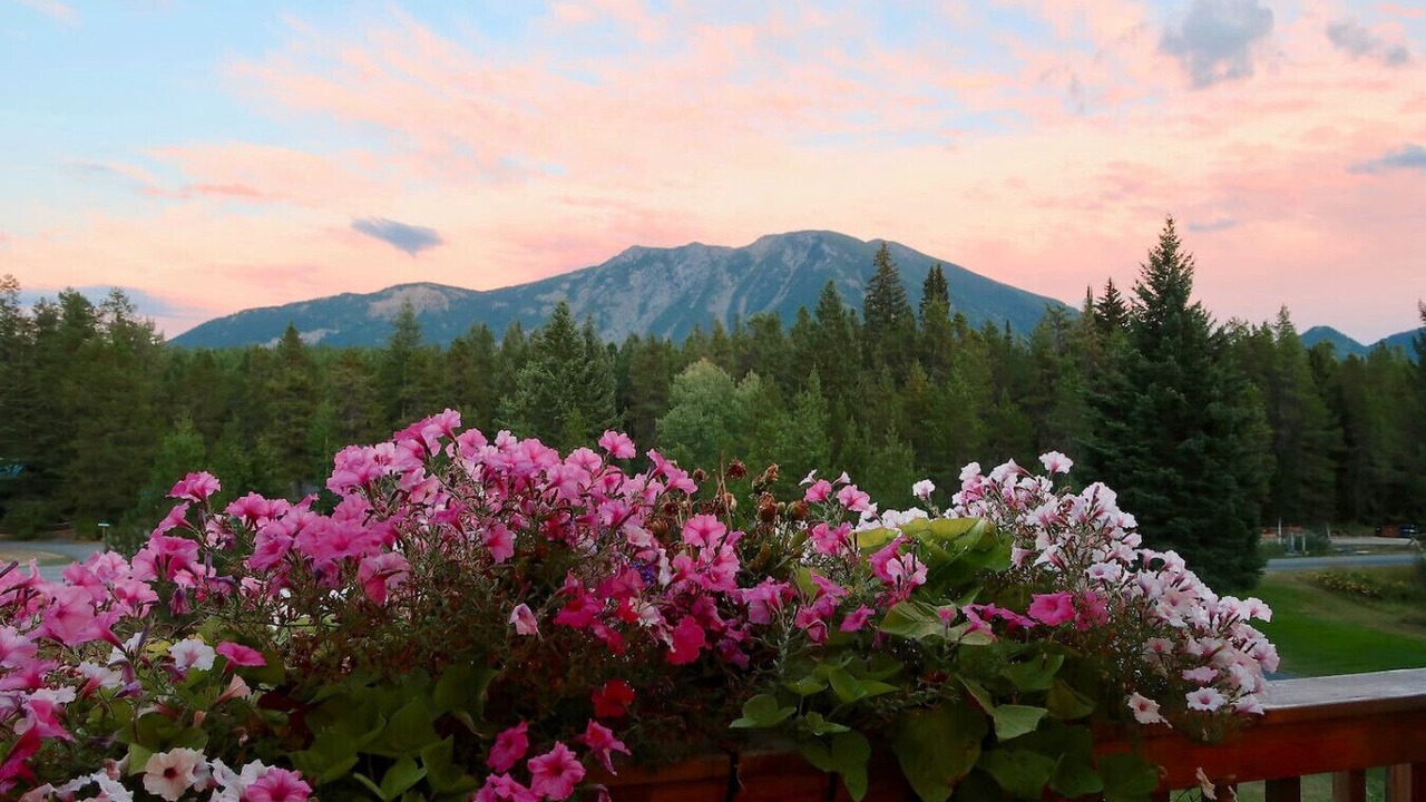 Photo of Outdoor in West Glacier