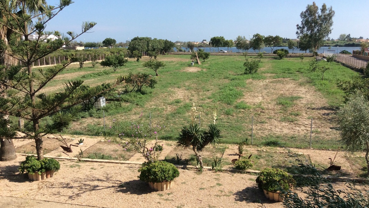 Photo of Outdoor in Deltebre