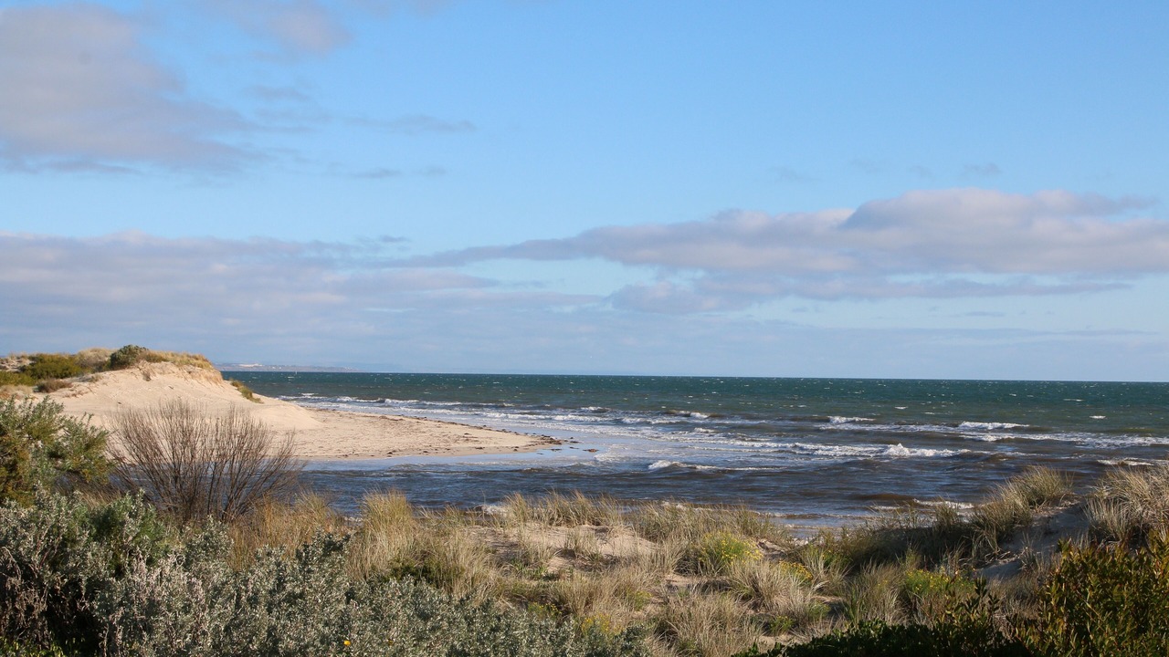 Photo of Others in West Beach