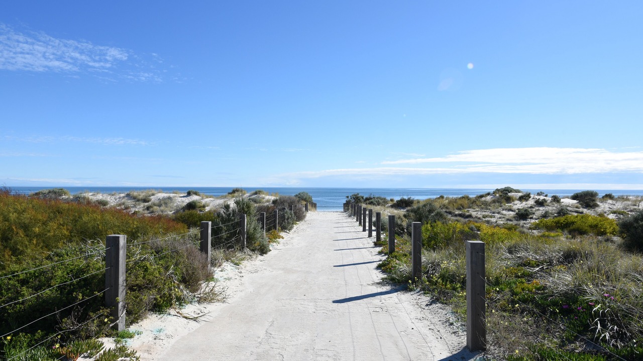 Photo of Others in West Beach