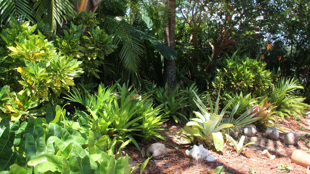 Photo of Outdoor in Deerfield Beach