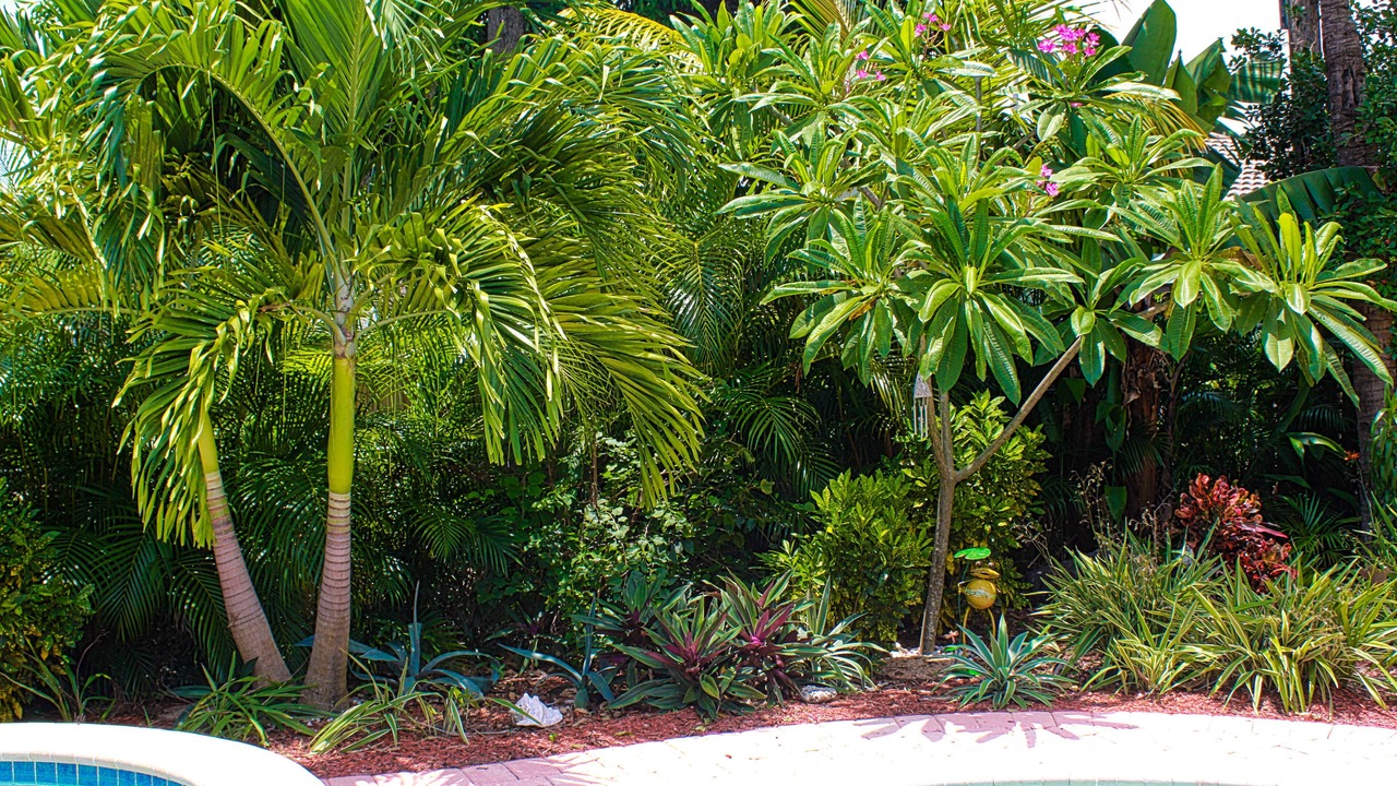 Photo of Outdoor in Deerfield Beach