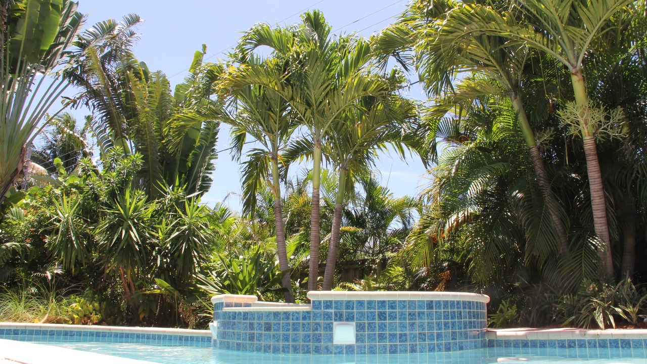 Photo of Others in Deerfield Beach