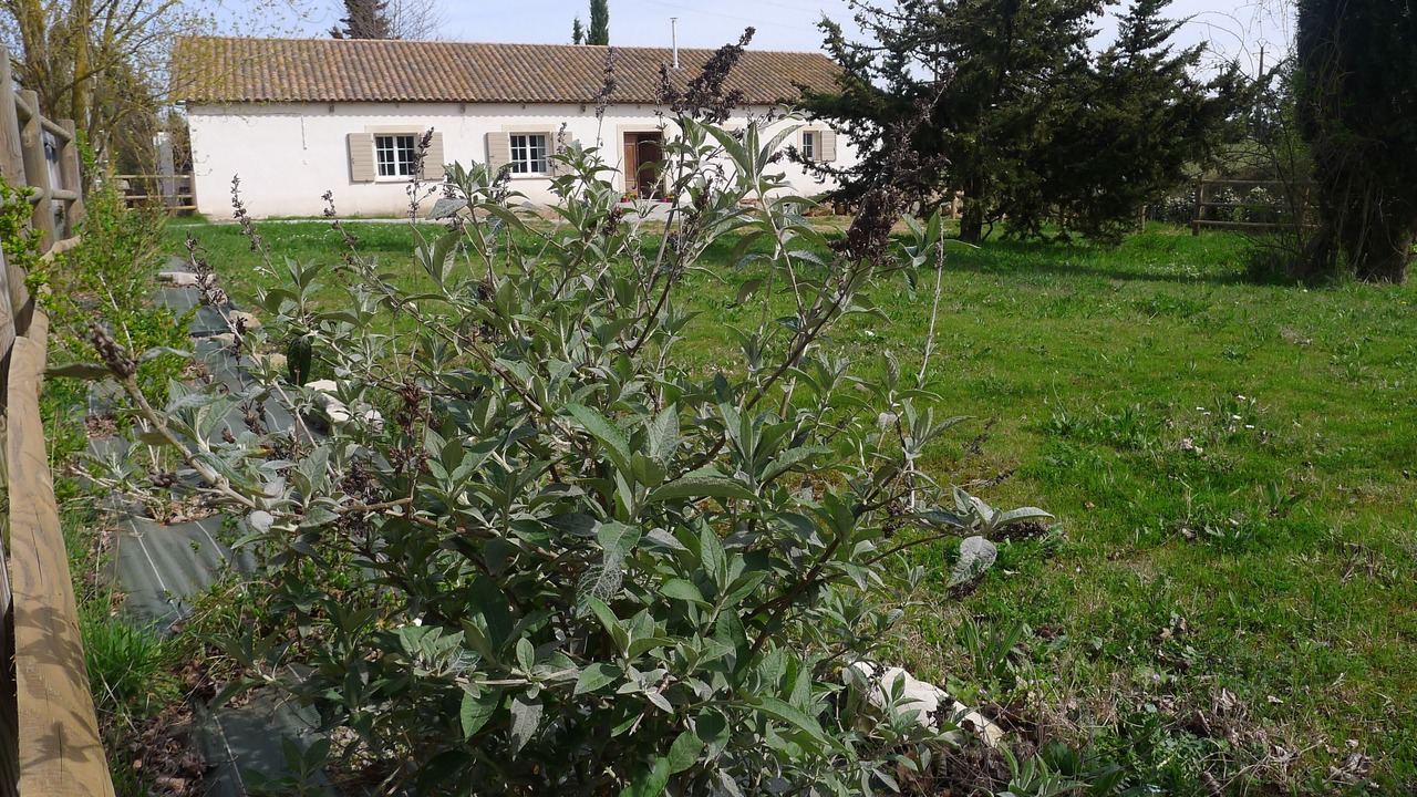 Photo of Outdoor in Verzeille