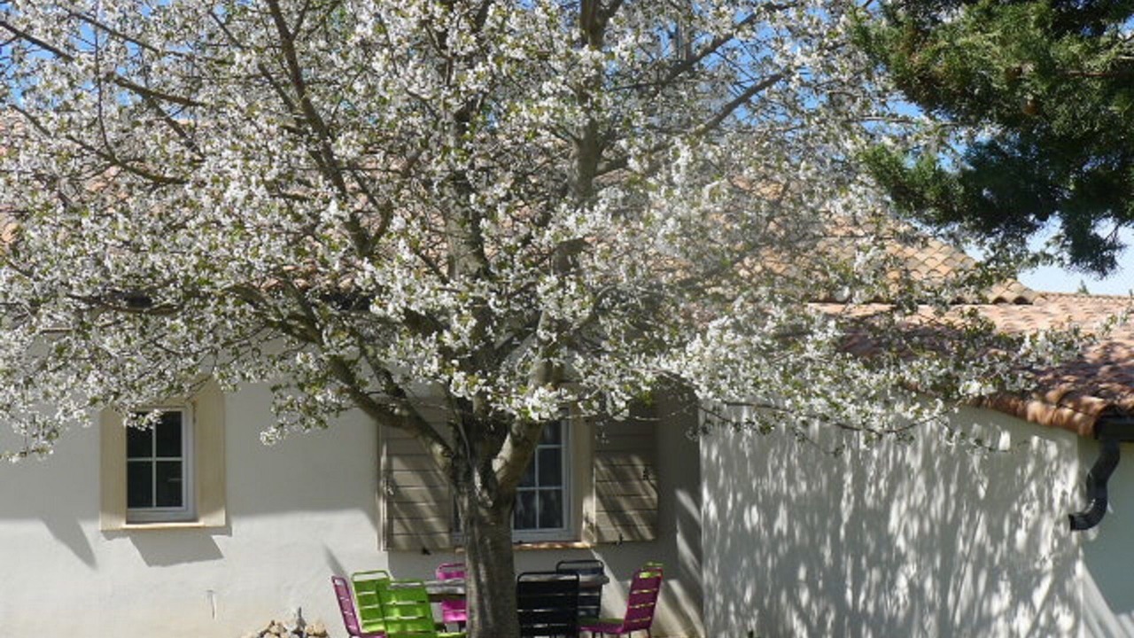 Photo of Outdoor in Verzeille