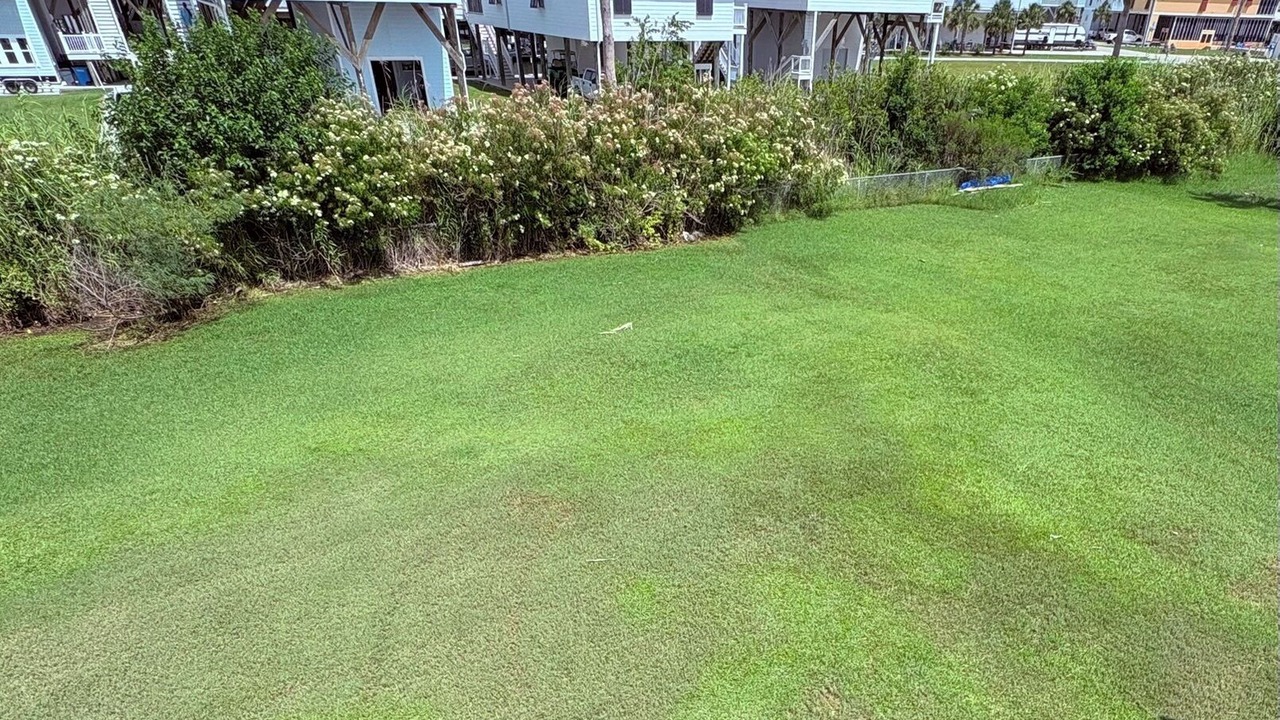 Photo of Outdoor in Grand Isle
