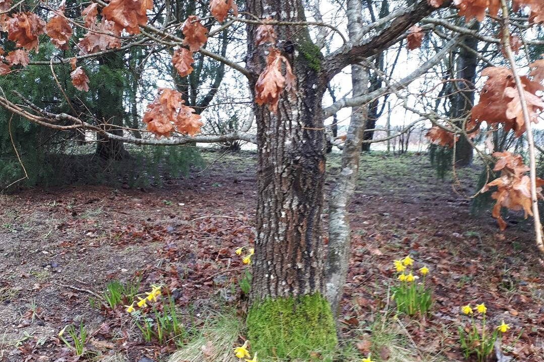 Photo of Others in Crouy-sur-Cosson