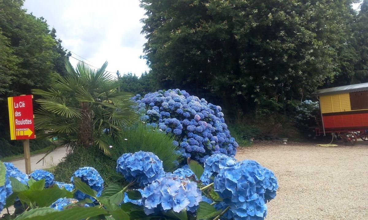 Photo of Outdoor in Pluvigner