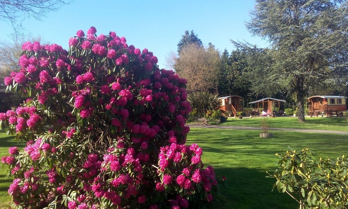 Photo of Outdoor in Pluvigner