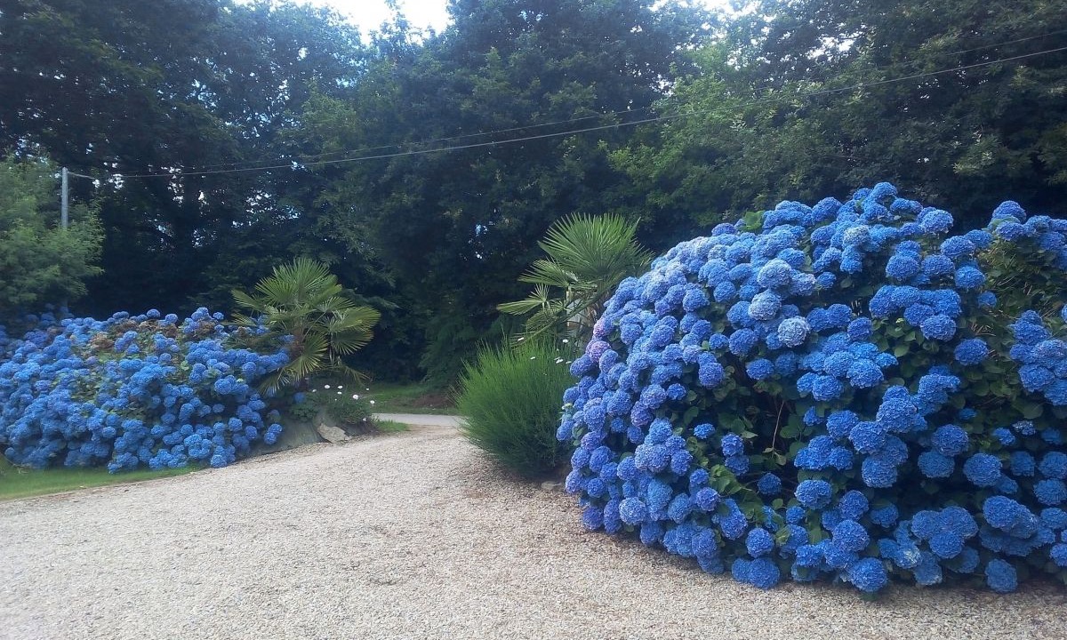 Photo of Outdoor in Pluvigner