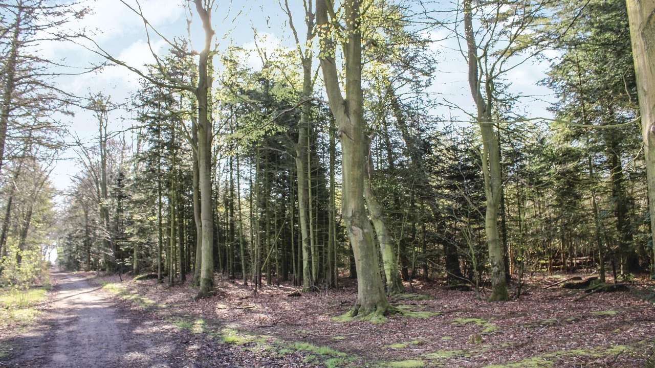 Photo of Others in Løgumkloster