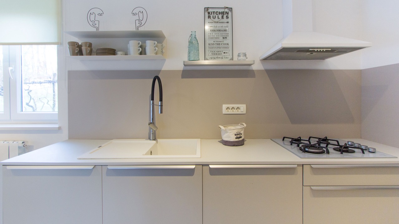 Photo of Kitchen in Snasici