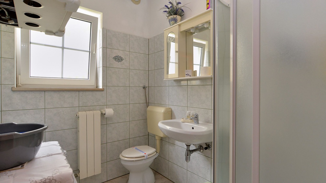 Photo of Bathroom in Gregovica