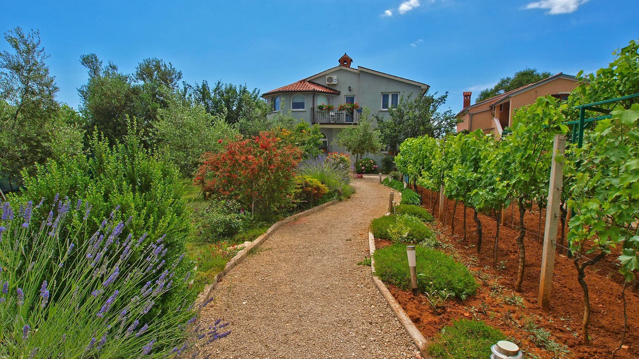 Photo of Outdoor in Valbandon