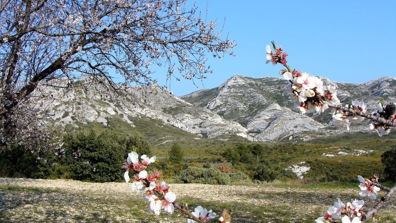 Photo of Outdoor in Camaret-sur-Aigues