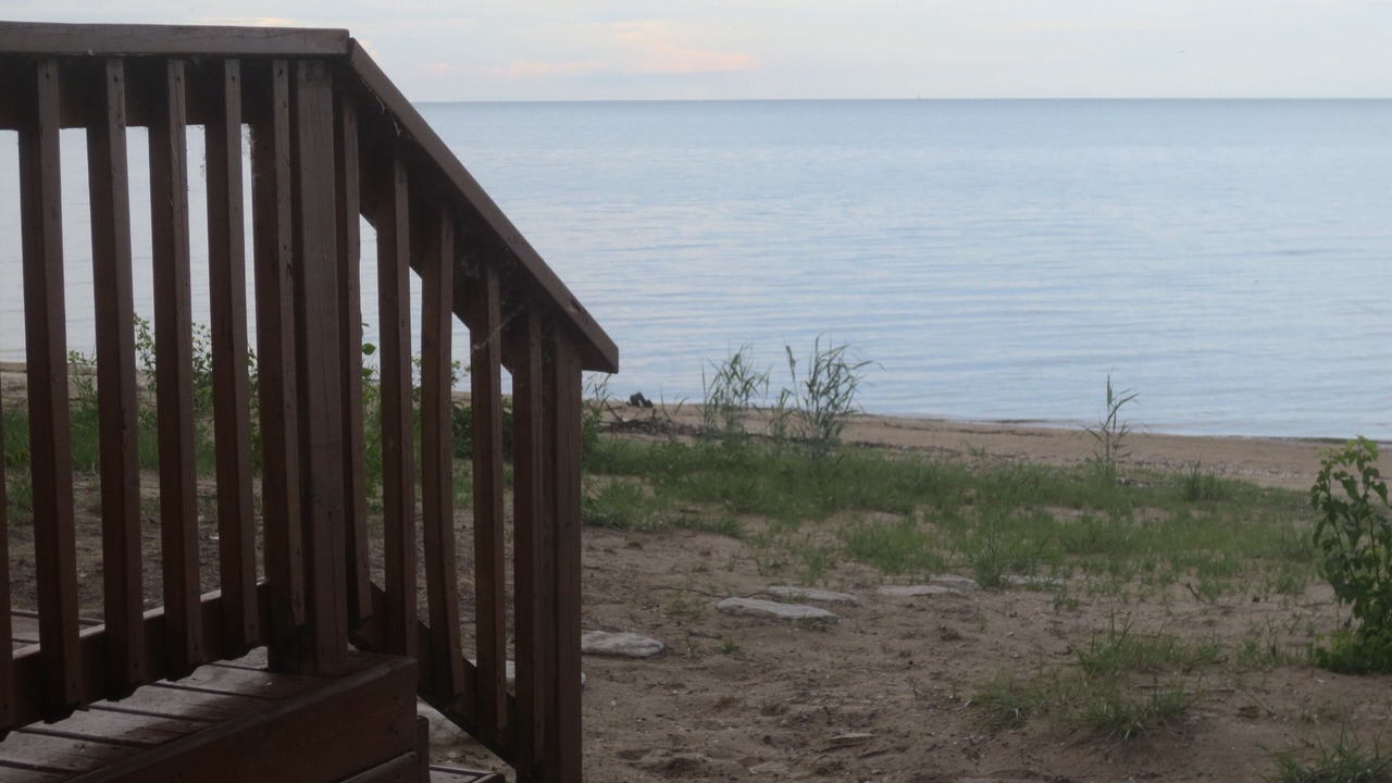 Photo of Outdoor in Kingsville