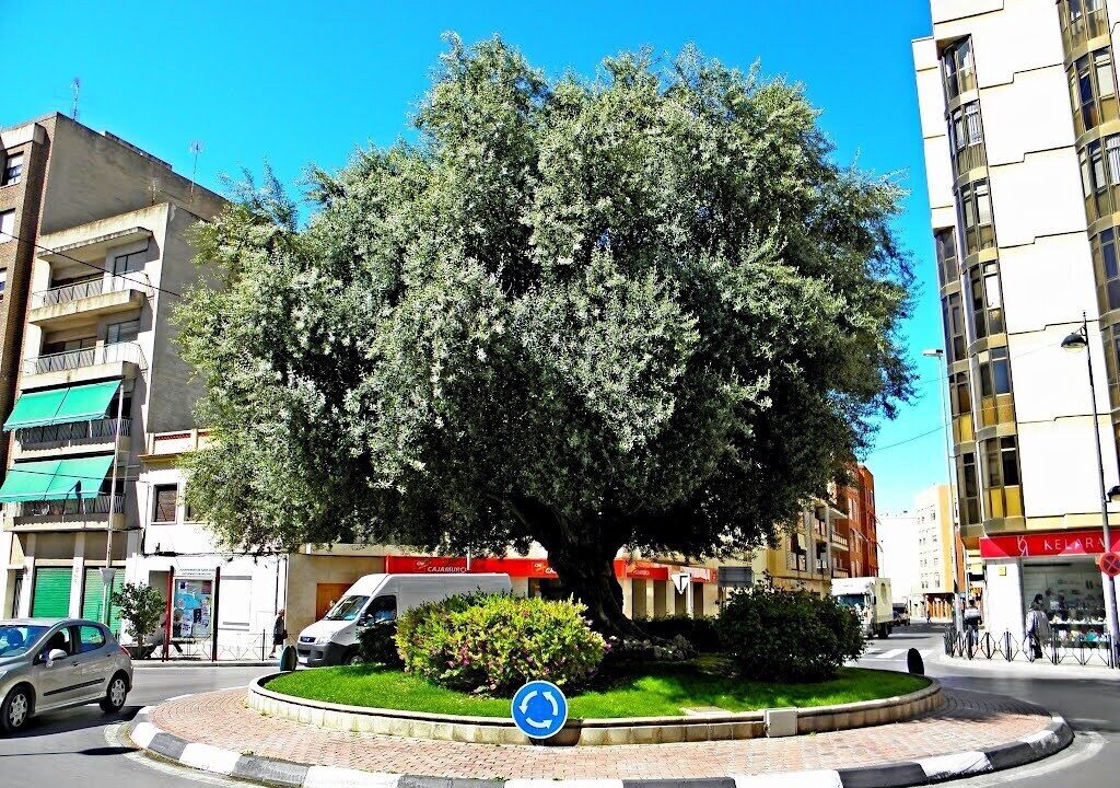 Photo of Outdoor in San Juan de Alicante