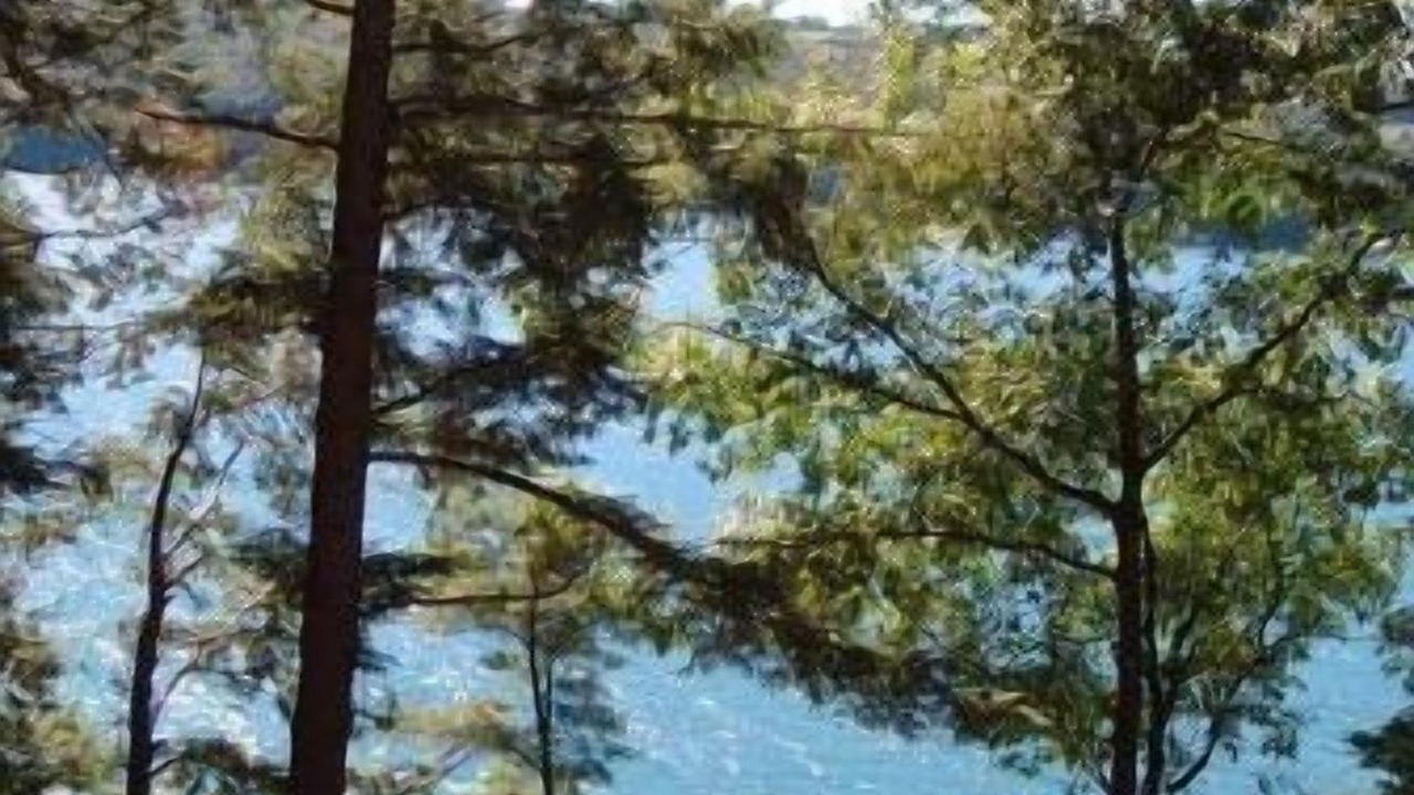 Photo of Others in Skaneateles