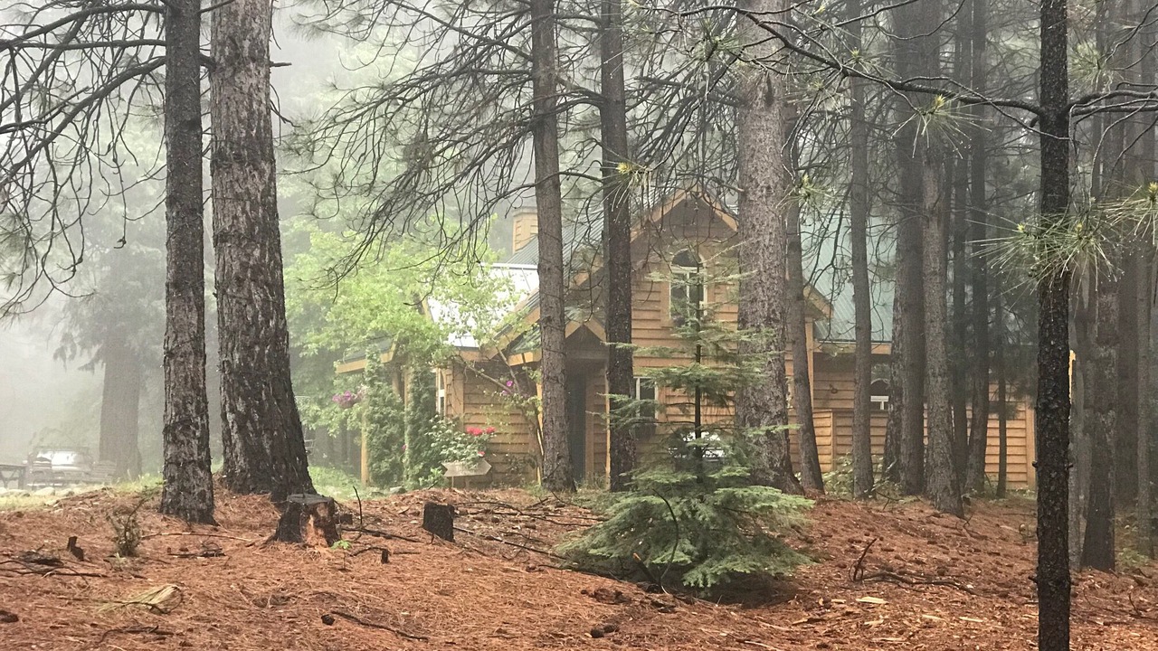 Photo of Outdoor in Alta