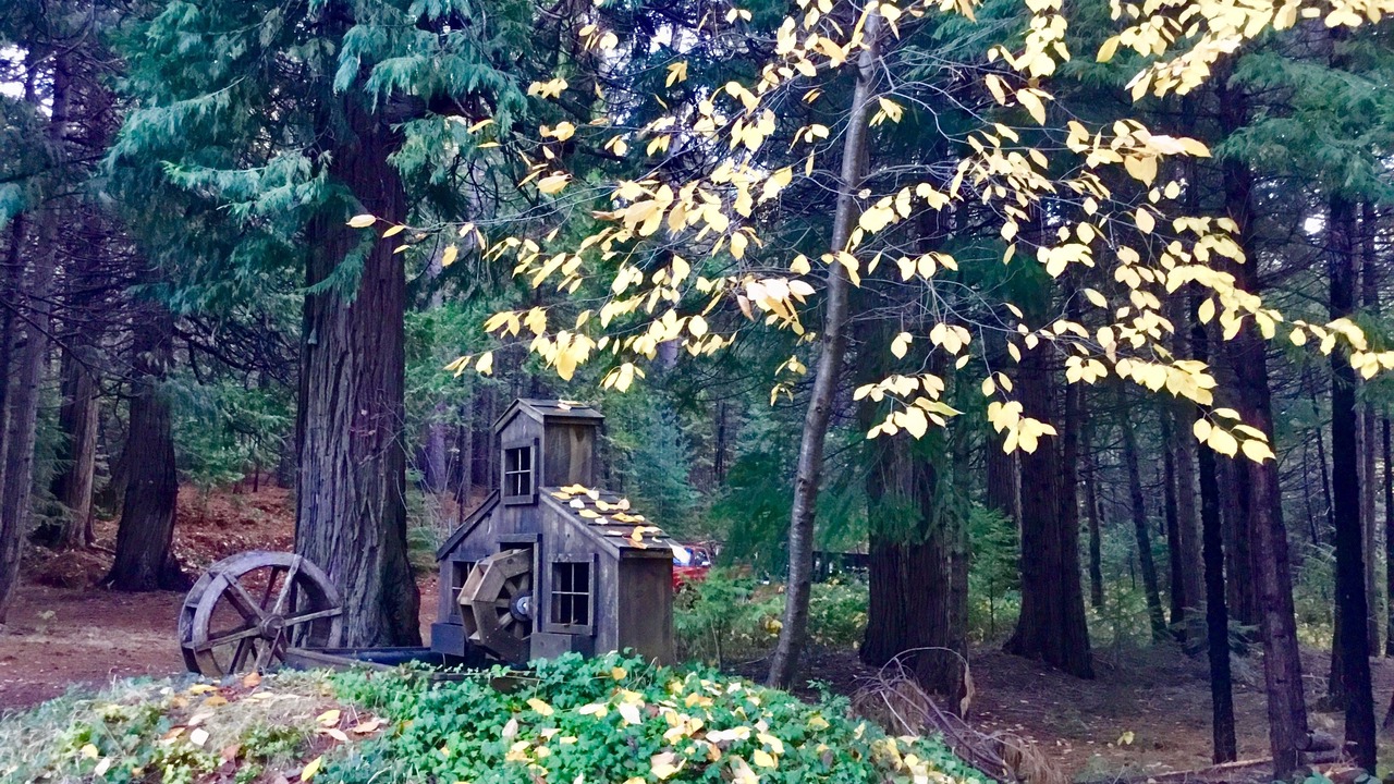 Photo of Outdoor in Alta