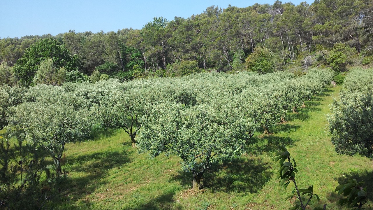 Photo of Outdoor in Saint-Nazaire