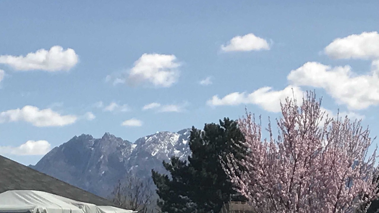 Photo of Others in West Jordan