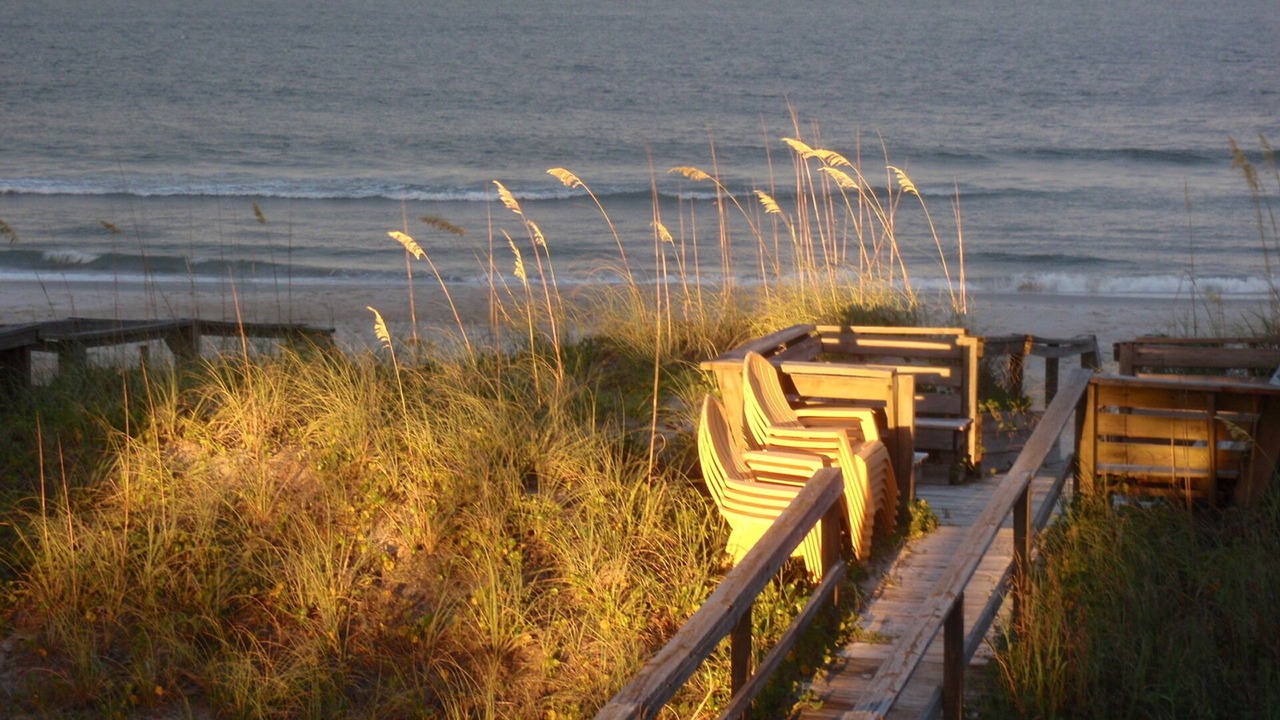 Photo of Others in North Carolina Coast