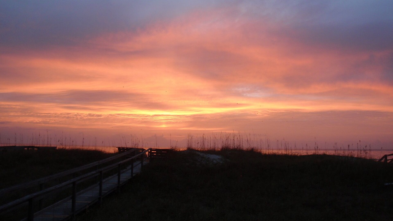 Photo of Others in North Carolina Coast
