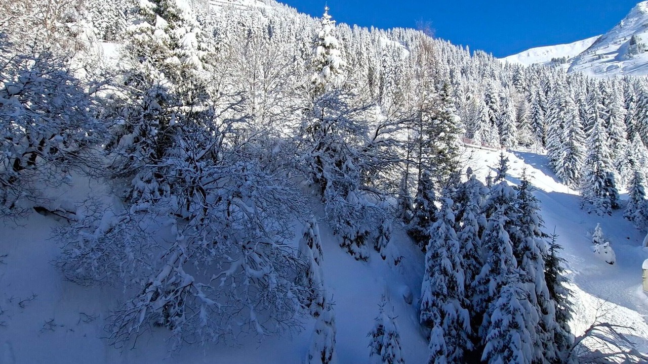 Photo of Others in Flaine