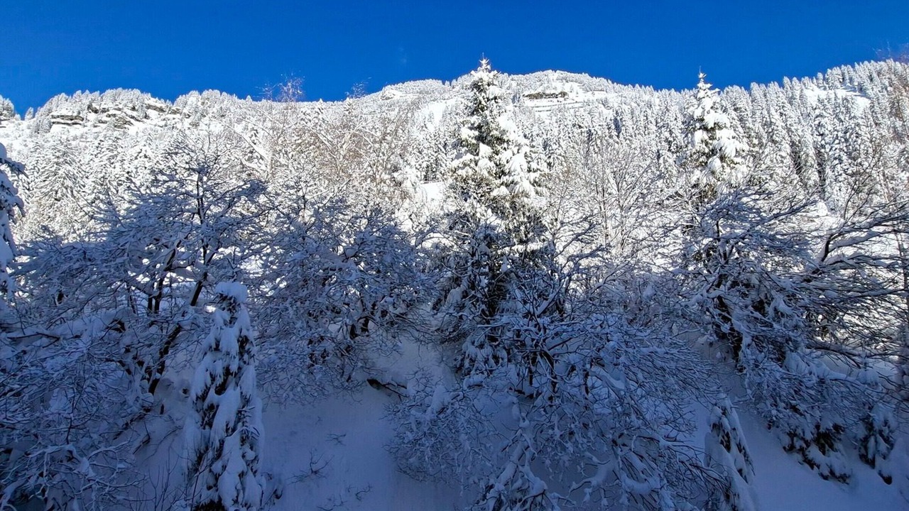 Photo of Others in Flaine