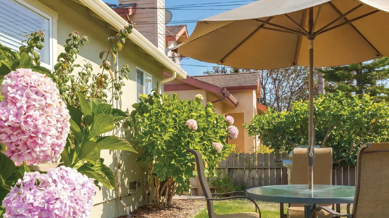 Photo of Outdoor in Opal Cliffs