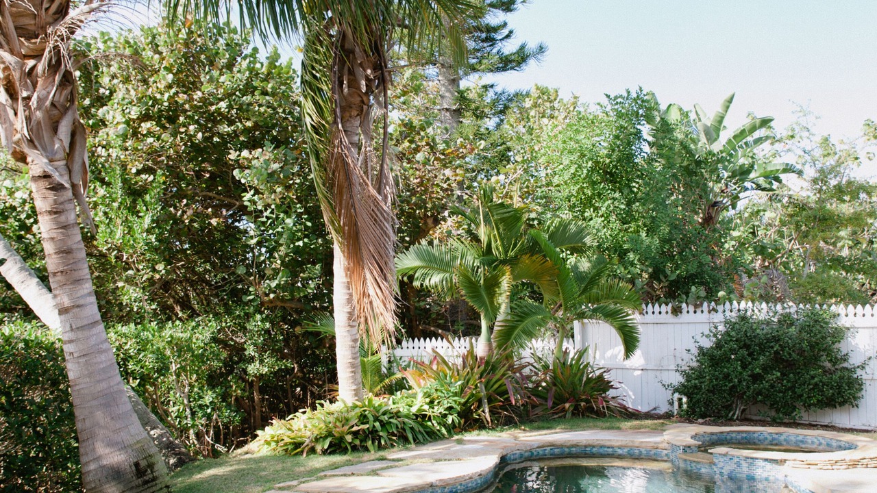 Photo of Outdoor in Anna Maria