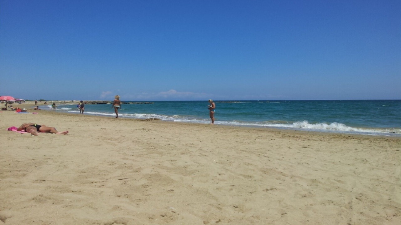Photo of Others in Vinaros