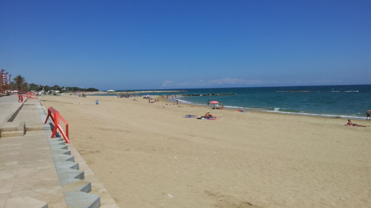 Photo of Others in Vinaros