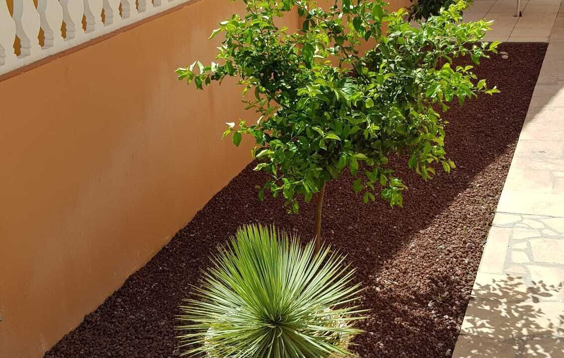Photo of Outdoor in Vinaros