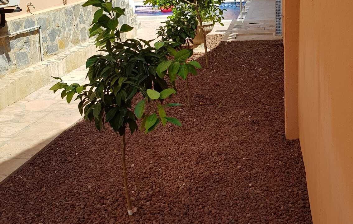 Photo of Outdoor in Vinaros