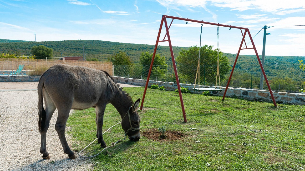 Photo of Others in Benkovac