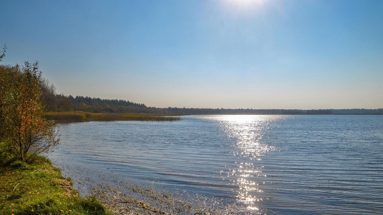 Photo of Others in Skovgaarde