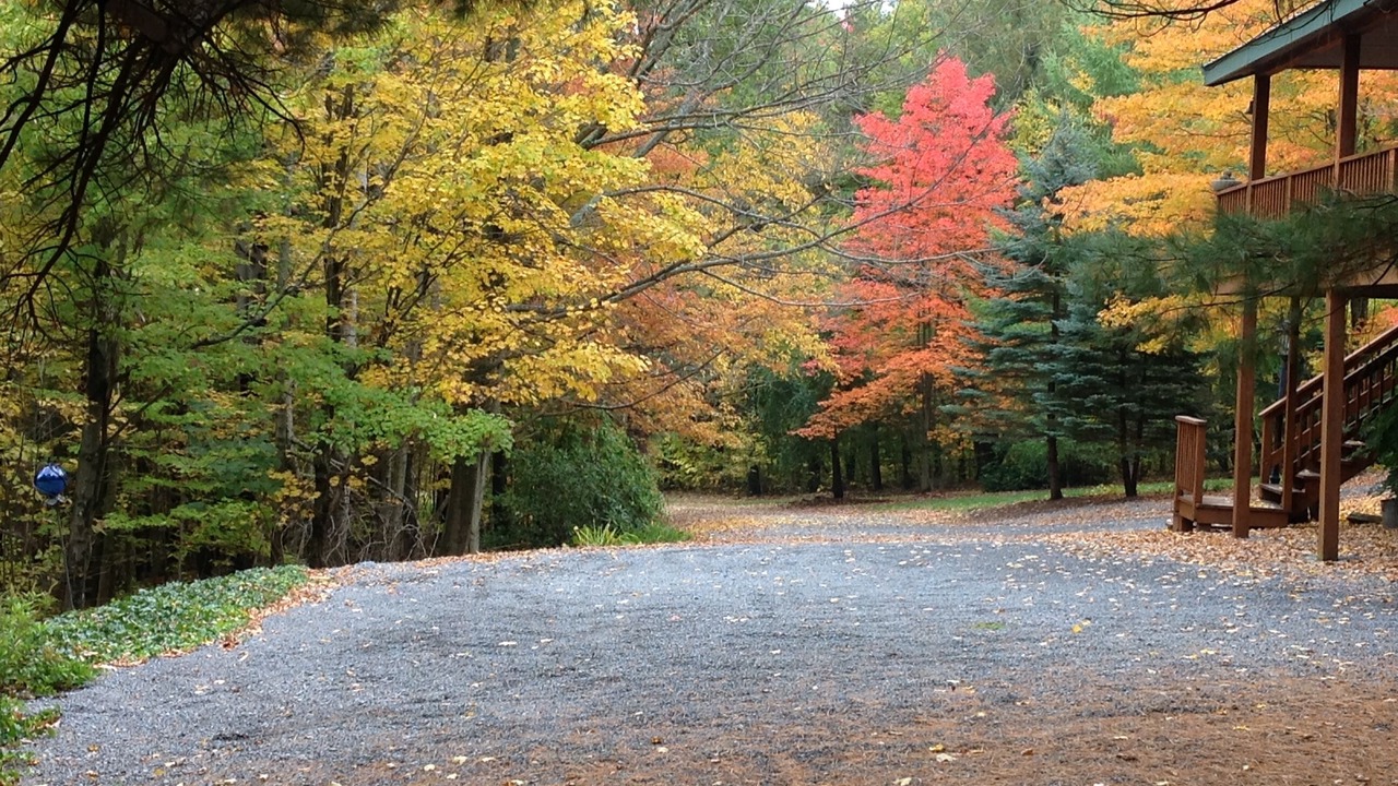 Photo of Outdoor in Wellsboro