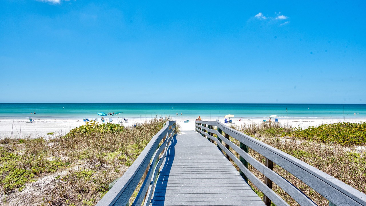 Photo of Others in Indian Rocks Beach