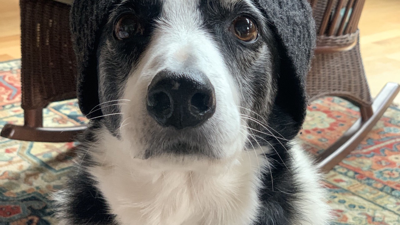 Photo of Others in Gasquet