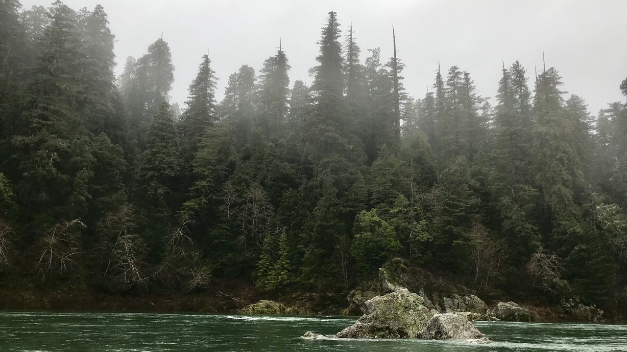 Photo of Others in Gasquet