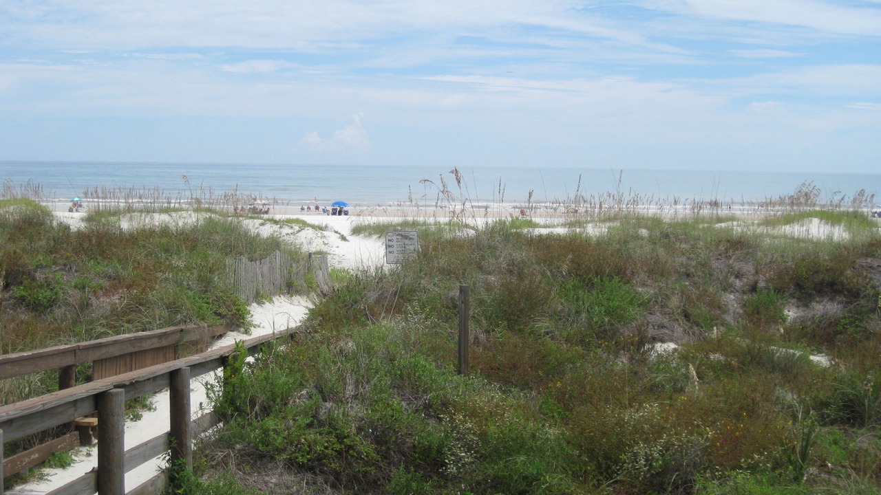 Photo of Others in St. Augustine Beach