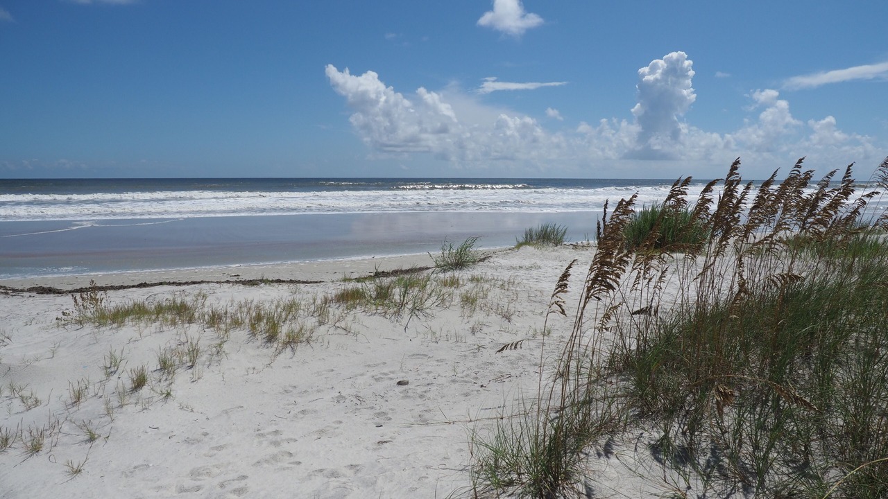 Photo of Others in St. Augustine Beach