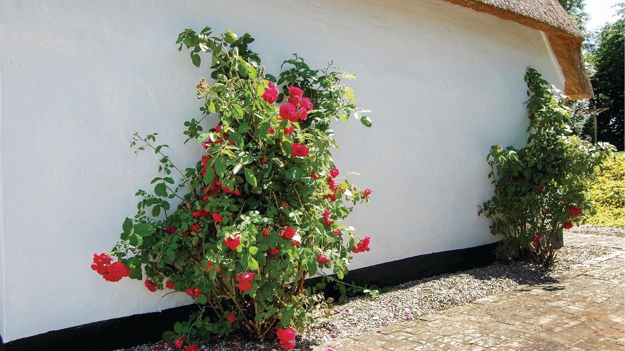 Photo of Others in Christiansfeld